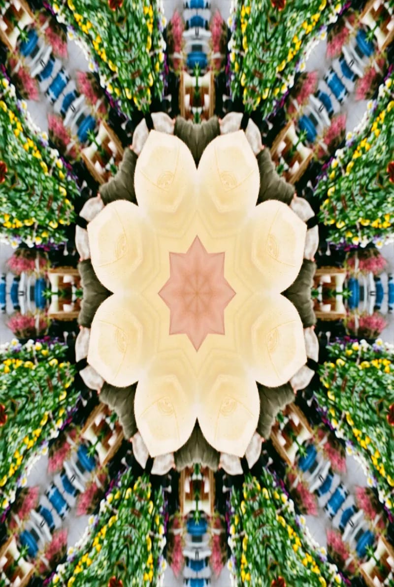 Kaleido on a sample photo