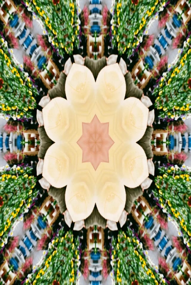 Kaleido on a sample photo