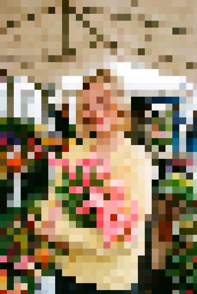 Pixel on a sample photo