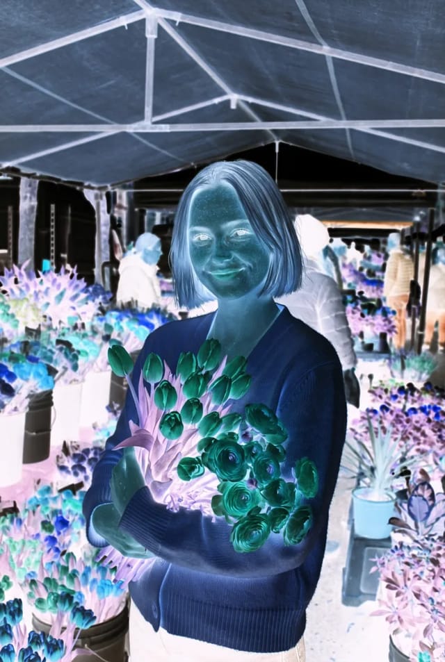 Negative on a sample photo